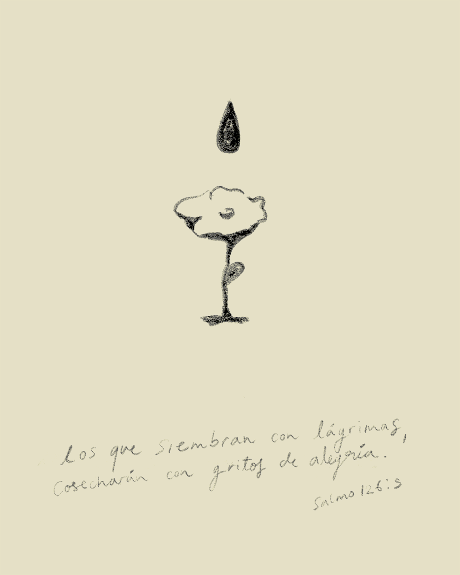 COSECHARAN CON ALEGRIA (SALMO 126:5)