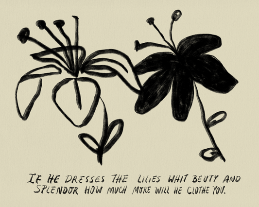IF HE DRESSES THE LILIES (MATEO 6:28-29)