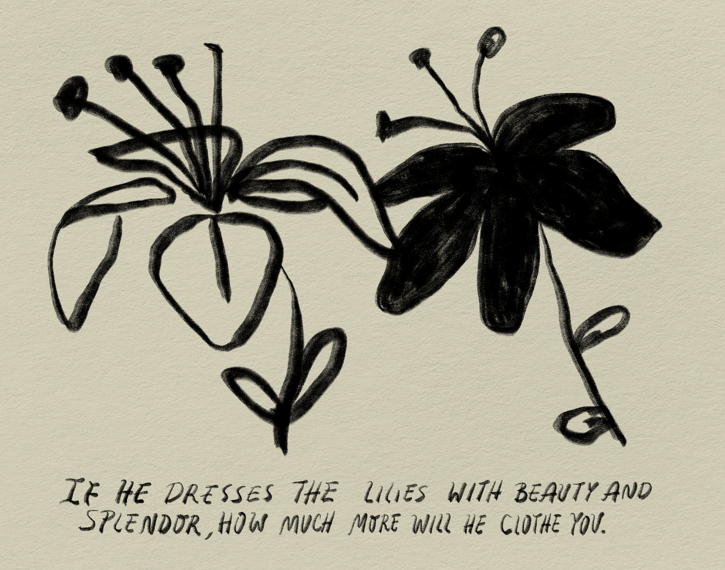 IF HE DRESSES THE LILIES (MATEO 6:28-29)